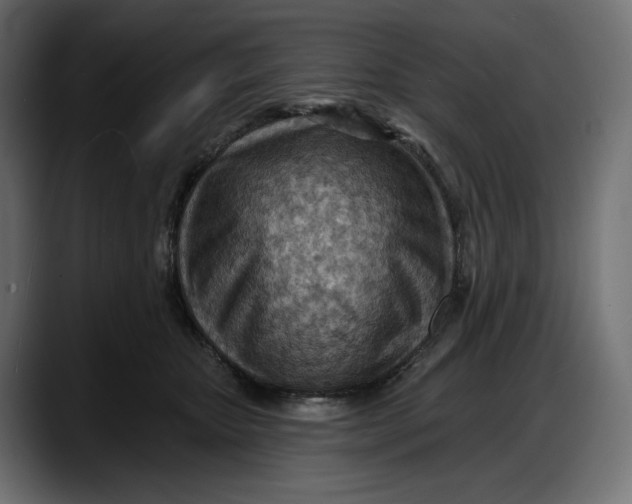 X0000087740467200705291016