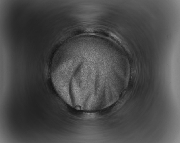 X0000087740469200705291016