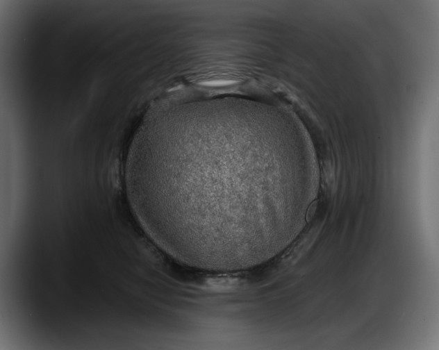 X0000087740470200705291016