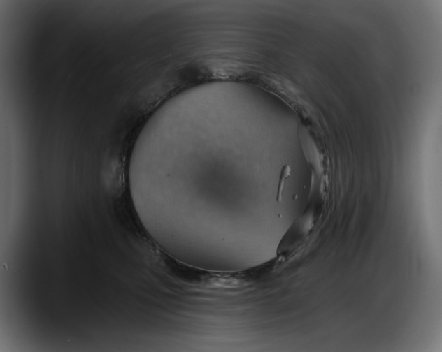 X0000087740471200705291016