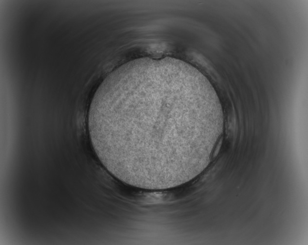 X0000087740473200705291017