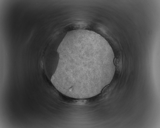 X0000087740474200705291017
