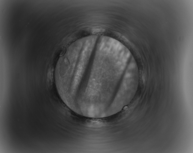 X0000087740475200705291017