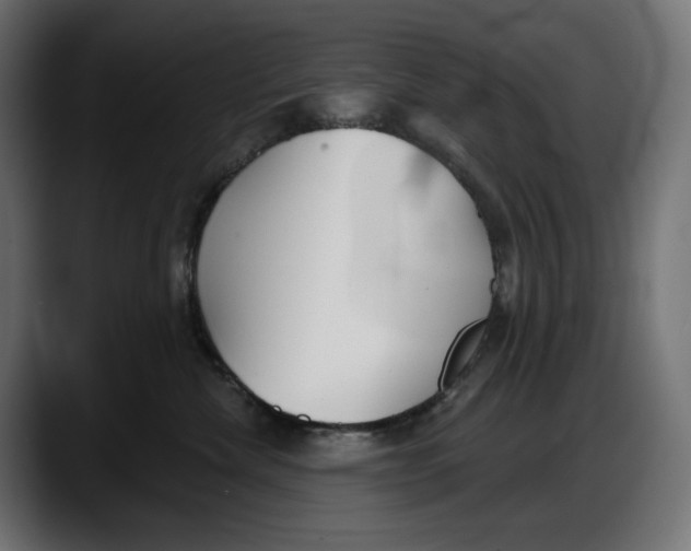 X0000087740476200705291017