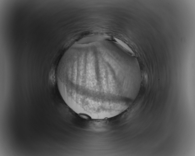 X0000087740479200705291017