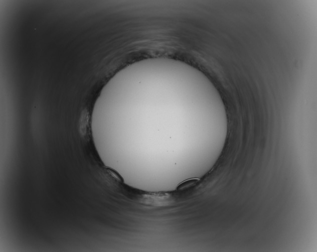 X0000087740480200705291017
