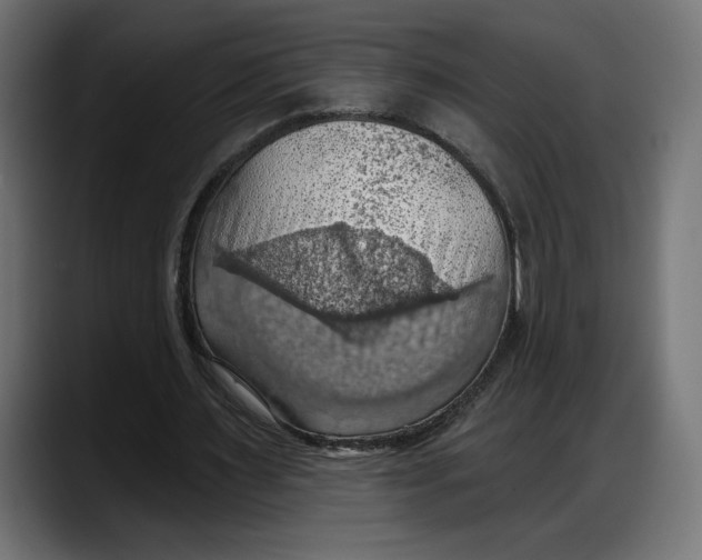 X0000087740483200705291016