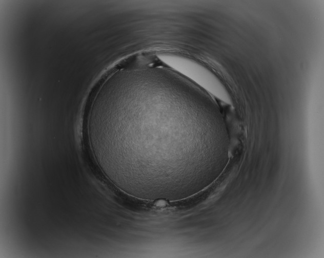 X0000087740484200705291016