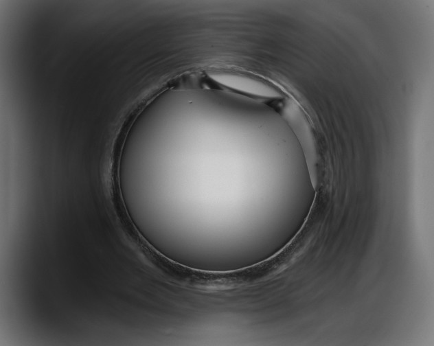 X0000087740485200705291016