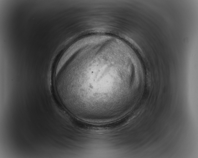 X0000087740486200705291016