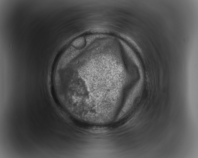 X0000087740487200705291016