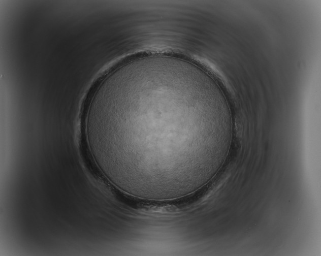 X0000087740488200705291016