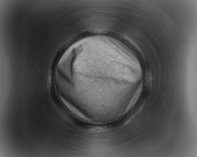 X0000087740494200705291016