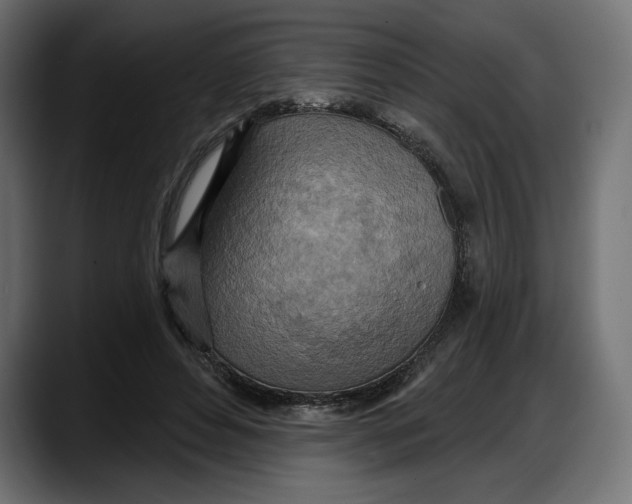 X0000087740496200705291016