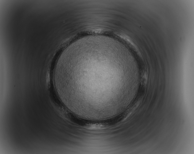 X0000087740500200705291016