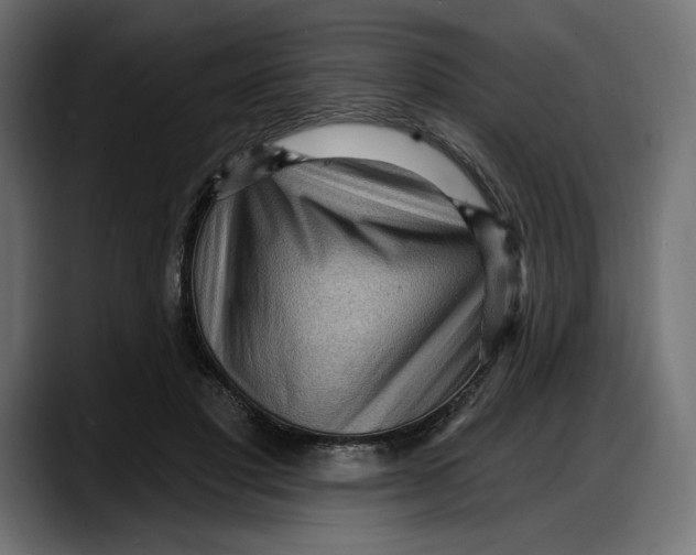 X0000087740501200705291016
