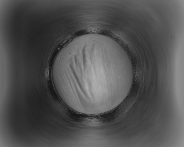 X0000087740502200705291016