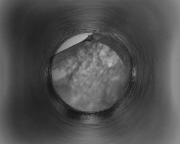 X0000087740503200705291016