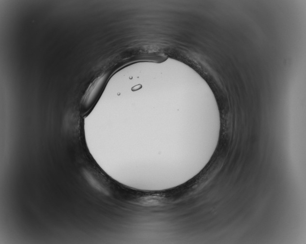 X0000087740505200705291016
