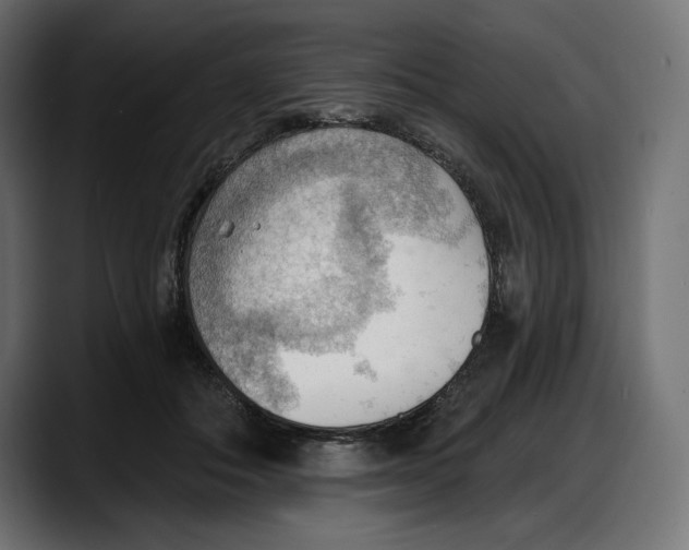 X0000087740506200705291016