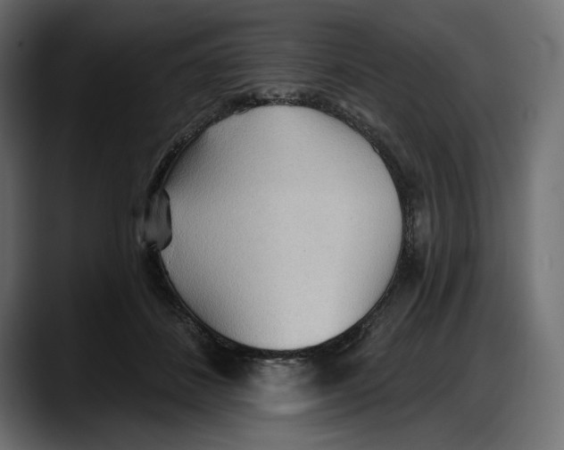 X0000087740508200705291016