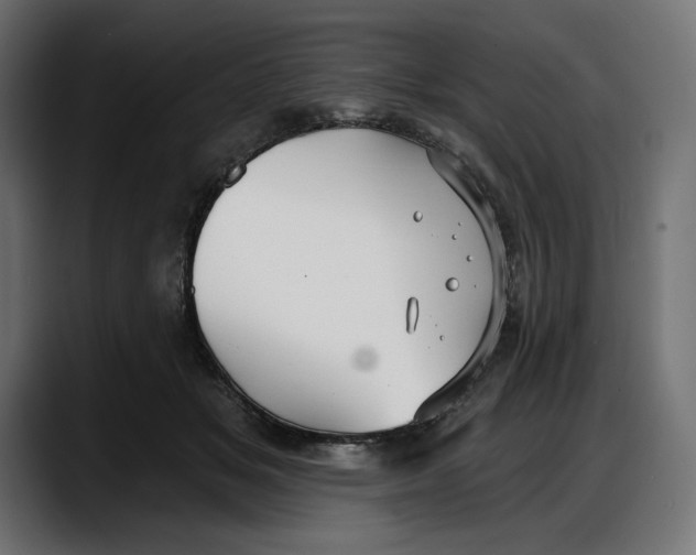 X0000087740509200705291016