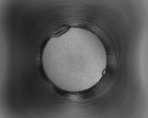 X0000087740510200705291016