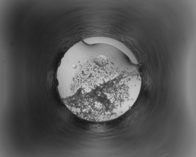 X0000087740511200705291016