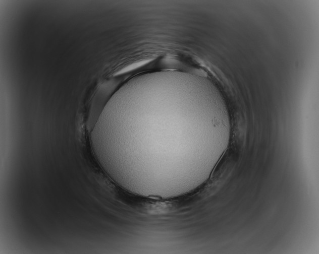 X0000087740513200705291016