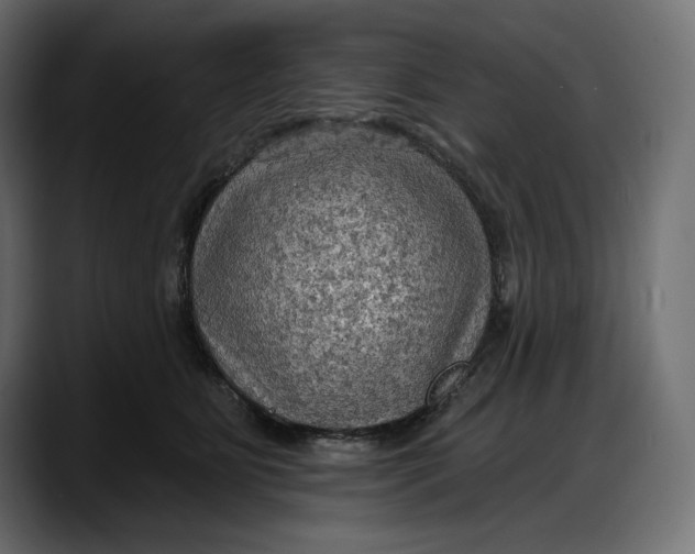 X0000087740515200705291016