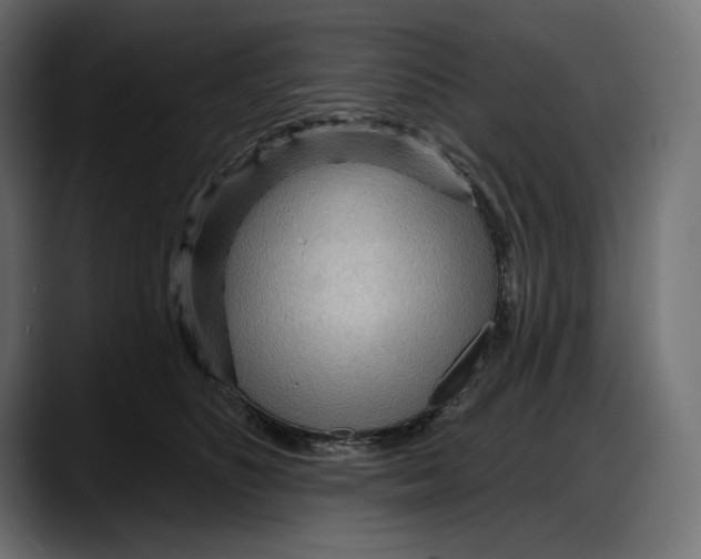 X0000087740516200705291016