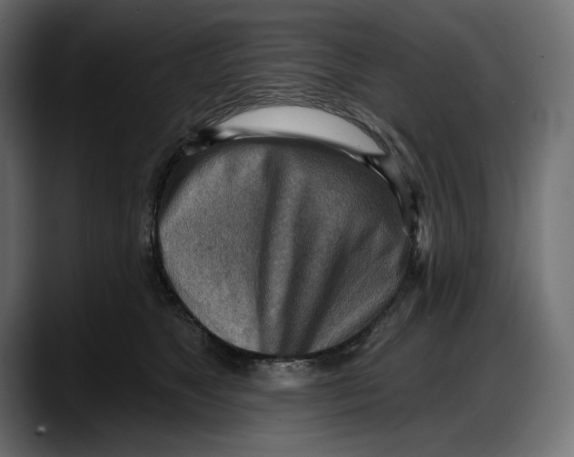 X0000087740517200705291015