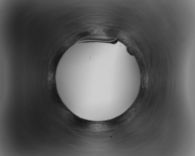 X0000087740521200705291015