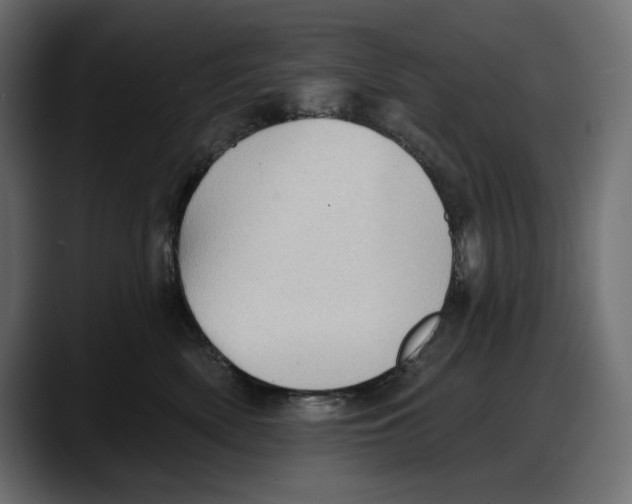 X0000087740522200705291015