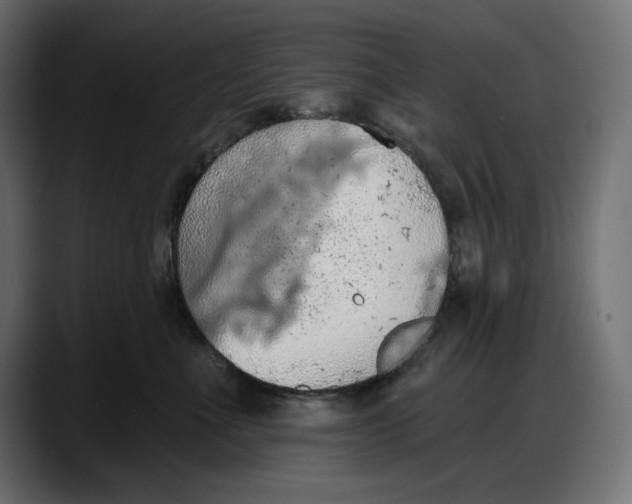 X0000087740523200705291015