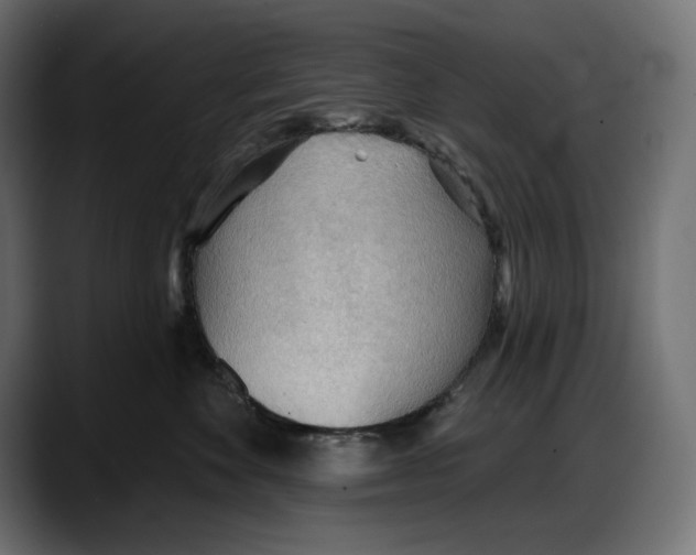 X0000087740524200705291015