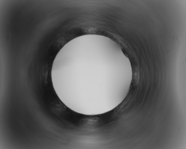 X0000087740525200705291015