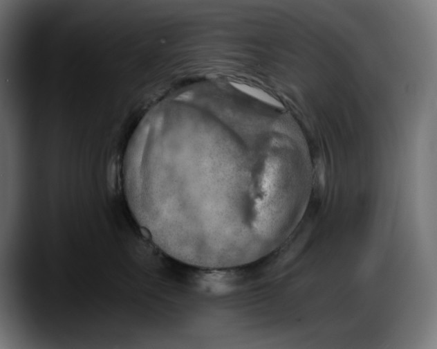 X0000087740527200705291015