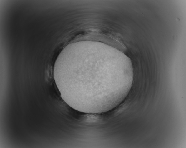 X0000087740528200705291015