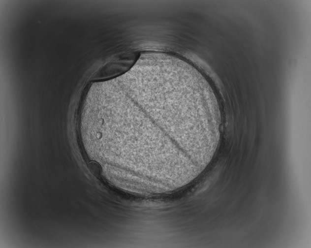 X0000087740529200705291015