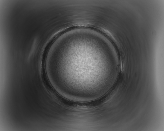 X0000087740531200705291015