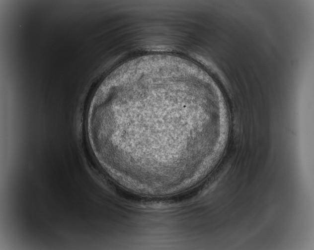 X0000087740533200705291015