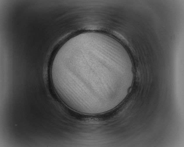 X0000087740535200705291015