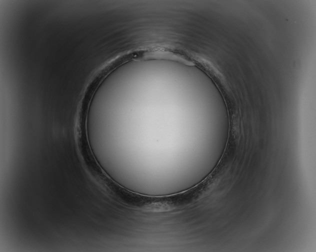 X0000087740536200705291015