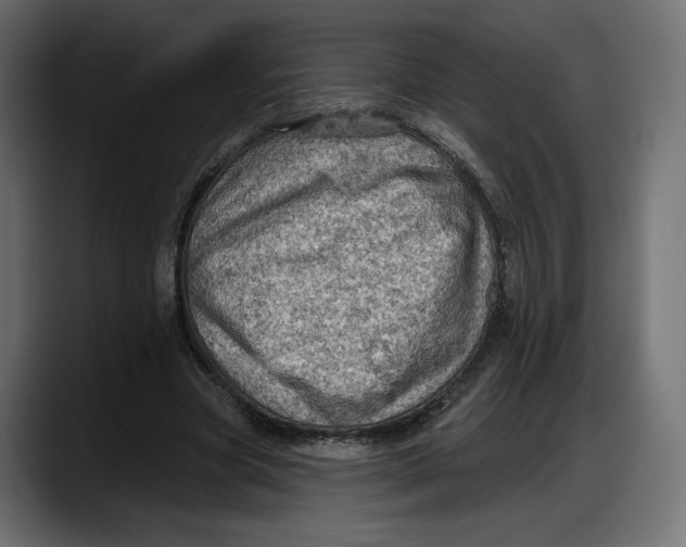 X0000087740537200705291015