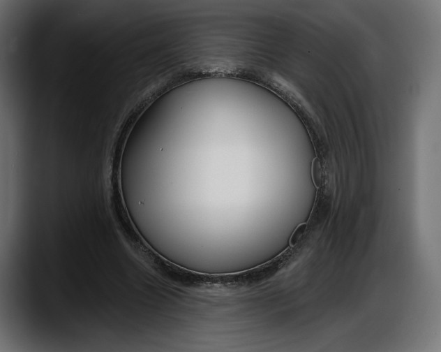 X0000087740538200705291015