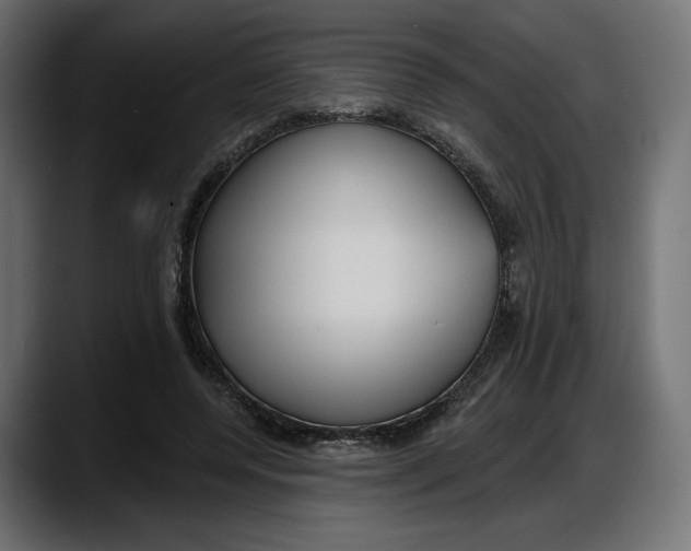 X0000087740544200705291015