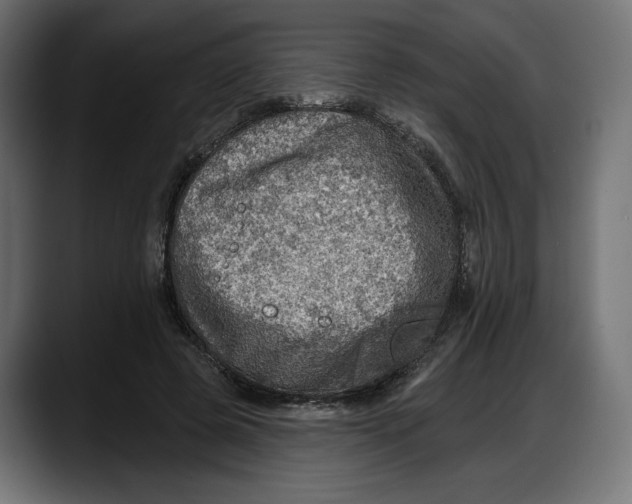 X0000087740545200705291015