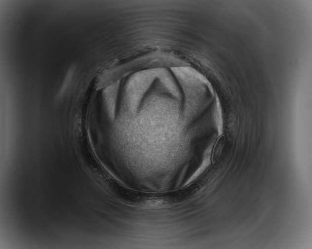 X0000087740547200705291015