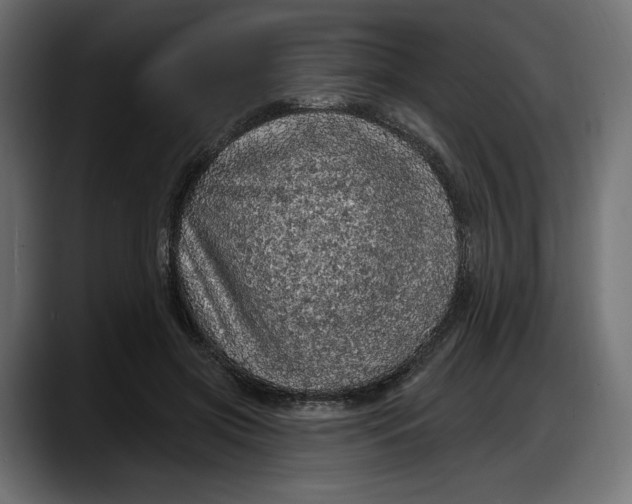 X0000087740549200705291015